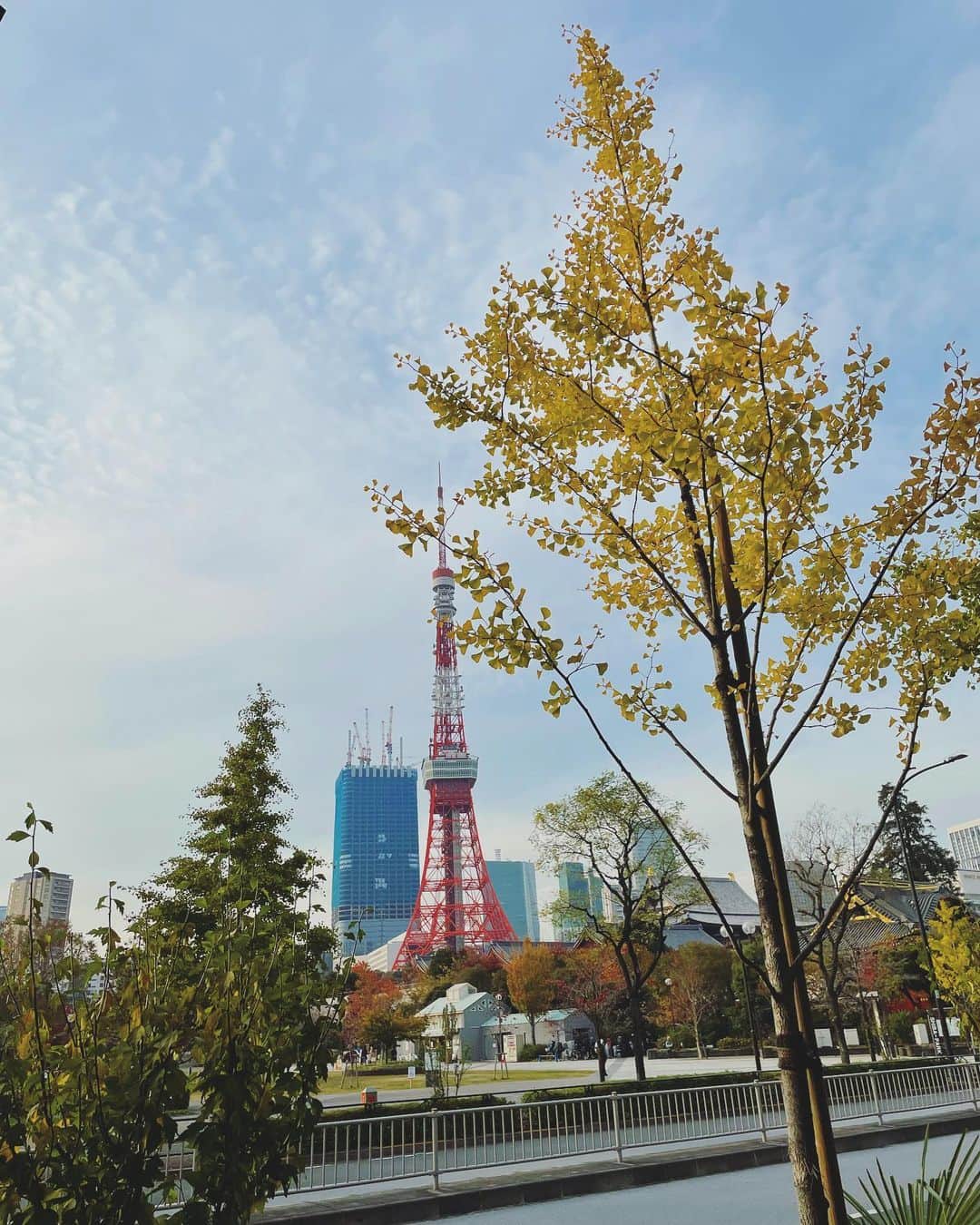 岡部麟さんのインスタグラム写真 - (岡部麟Instagram)「東京タワー見ると写真撮りたくなっちゃう病🗼  #東京タワー」11月30日 22時17分 - beristagram_1107