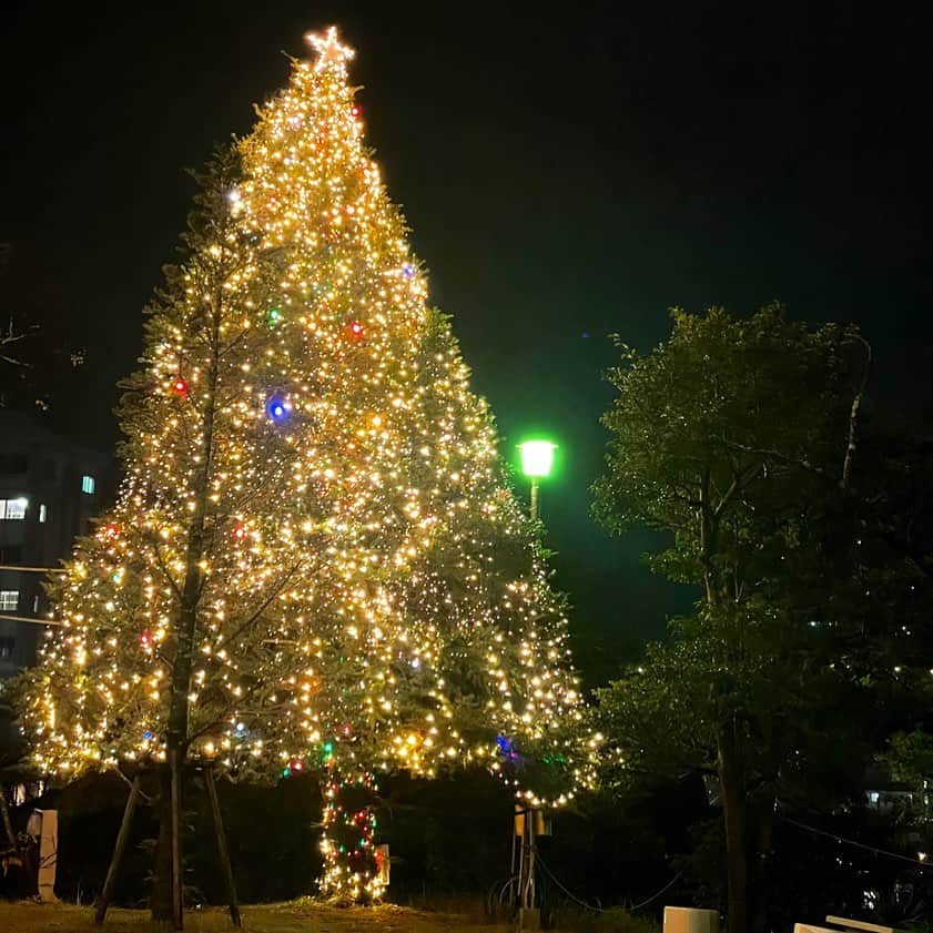 藩彩華のインスタグラム：「今日、活水女子大学のクリスマスツリーが点灯されました🎄🤶🌟 明日から一気に寒くなるようですので、皆さん体調にはお気を付けて下さいね！！」