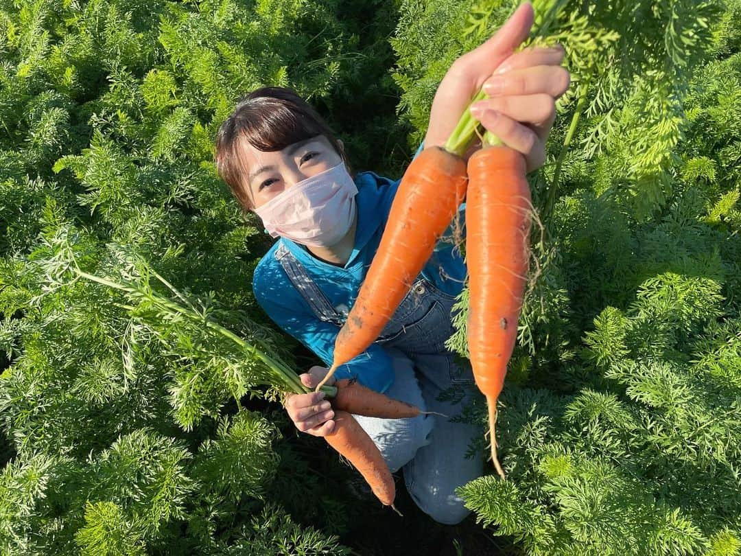 藤坂奈央のインスタグラム：「. 今日から12月ですね☃️ 12月最初の旬ごよみは「ニンジン」🥕 年中スーパーなどで見かけますが実は今が旬なんです。 おいしいニンジンの見分け方やお手軽レシピも♪ . 夕方6時15分です🥰」