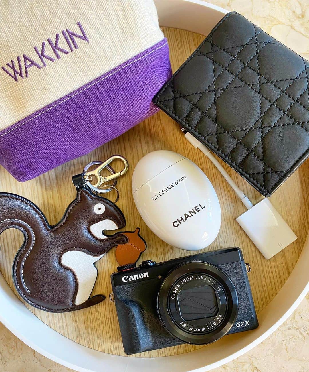 Mai Wakimizuのインスタグラム：「私のリアルなbagの中身♡特に代わり映えなし。笑 #rosymonster#dior#canon#loewe#chanel」