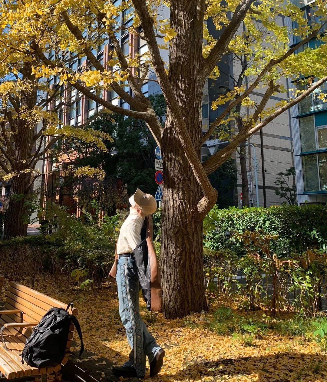 古瀬直輝さんのインスタグラム写真 - (古瀬直輝Instagram)「🍁🍂🌰🍊」12月1日 19時34分 - kosenaoki_