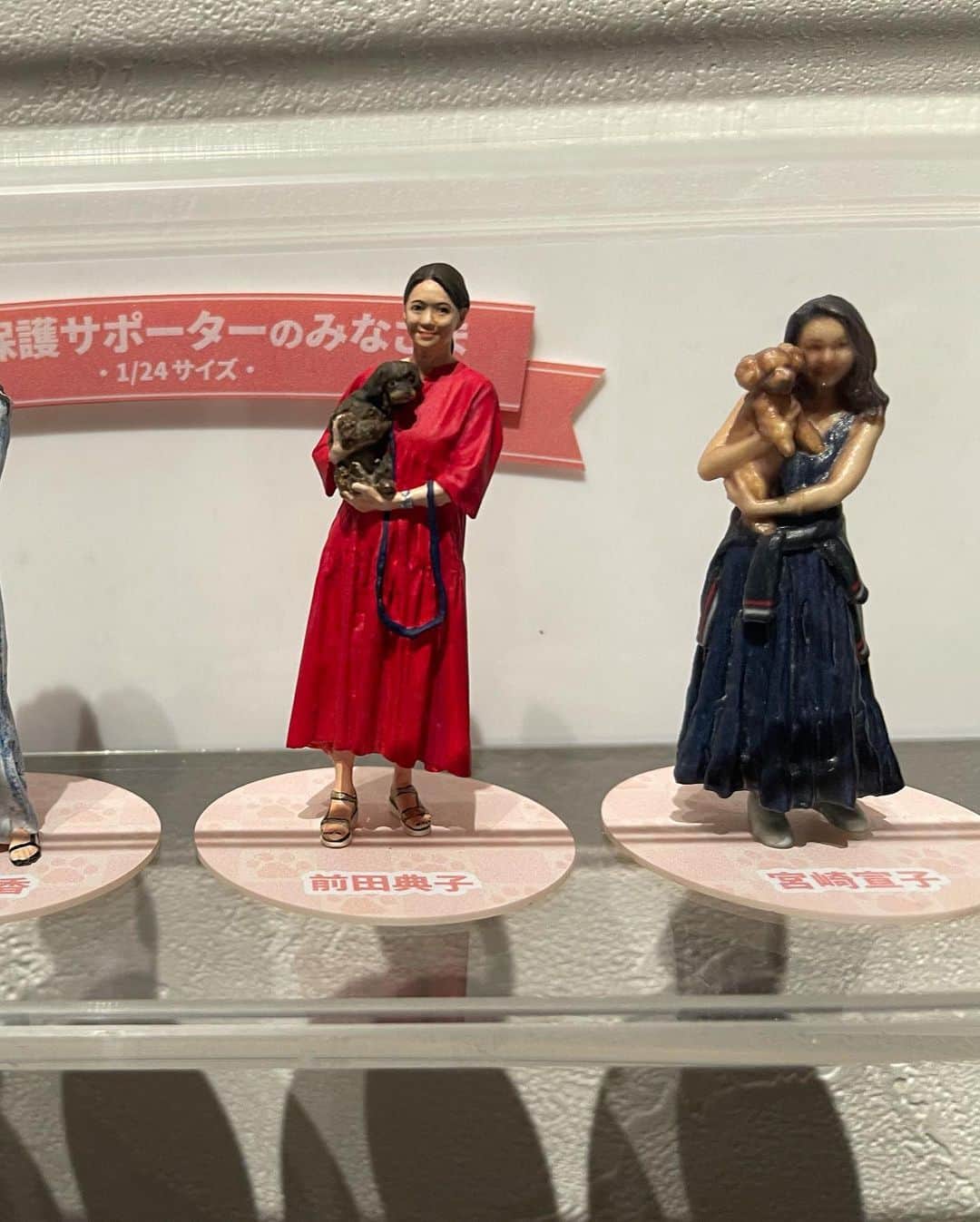 宮崎宣子さんのインスタグラム写真 - (宮崎宣子Instagram)「スモールワールズ東京のペットDAYに参加してきました💛  実は、動物愛護のサポーターとして活動させて頂いております。  可愛いだけては、飼うべきではありません。でも、キチンと飼う覚悟を持てた時、ペットショップで買う前に、一度スモールワールズ東京のペットDAYで、保護犬、保護猫の譲渡会に来てみませんか？  私ブリーダーからアロハを飼いましたが、最初は、保護犬を考えました。当時は、女性一人暮らしに保護犬は飼う資格がありませんでした。今では、規則も改定されたので、一人暮らしの人でも飼えます。  なので、是非、一度保護犬、保護猫ちゃんと会ってから決めてもいいのではないでしょうか？  今回、アロハと一緒の80分の1サイズの私が、船の上にいます😉  良かったら見つけてください🥰  #スモールワールズトーキョー  #ペットDAY #petday #譲渡会 #保護犬 #保護猫」12月1日 18時10分 - miyazaki_nobuko