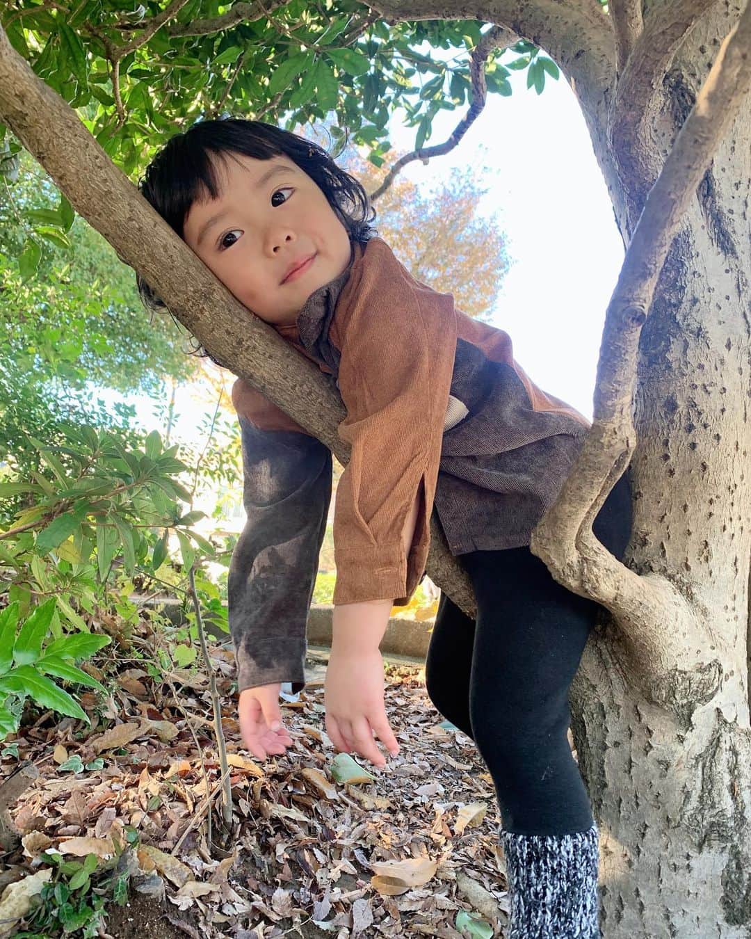 ともみさんのインスタグラム写真 - (ともみInstagram)「. #木登り ウッキーってお猿さんの真似しながら木登りしてたよ😂🐒 . #3歳 #男の子 #こどものいる暮らし #公園」12月1日 19時02分 - yuzu_haru_18