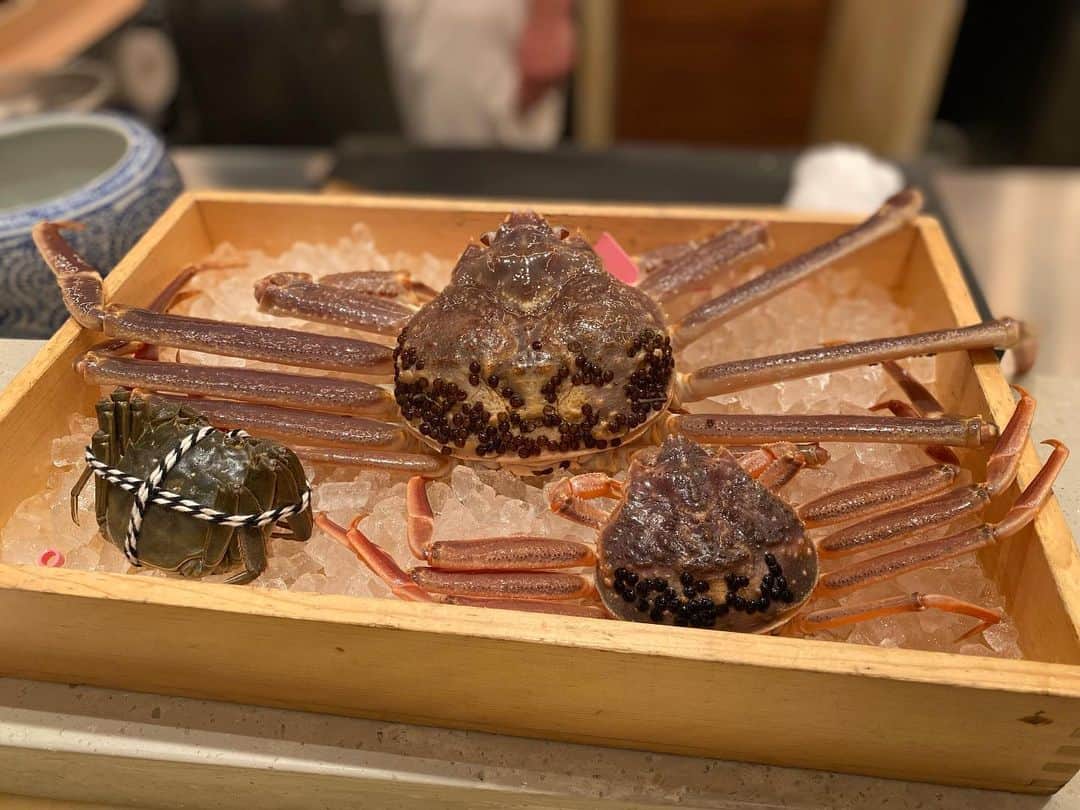 松川浩子さんのインスタグラム写真 - (松川浩子Instagram)「本日ご紹介した カニジェンヌの 3種のカニの食べ比べコース  こんなカニ食べたことない というくらい 丁寧に仕事された カニの身や 内子に外子に カニ味噌まで 全てを味わい尽くせました。  目の前で捌いていく様子も まるでパフォーマンスを 見ているよう。  贅沢すぎるコースですが、 こんな機会なんてないので 是非味わってみてください。  #カニジェンヌ #松葉がに #3種の食べ比べ #せこがに #上海がに #55日間しか味わえないコース」12月1日 11時58分 - hiroko_matsukawambs