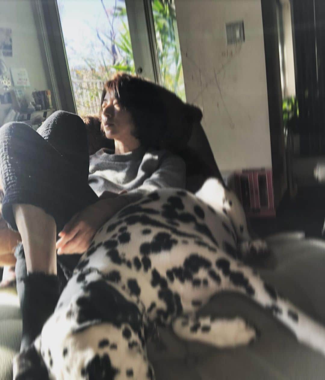 高岡早紀 さんのインスタグラム写真 - (高岡早紀 Instagram)「家で太陽を浴びながら昼寝。。 どれくらいぶりかな。 犬たちと一緒にゴロゴロゴロゴロ過ごす日。」12月1日 14時08分 - saki_takaoka
