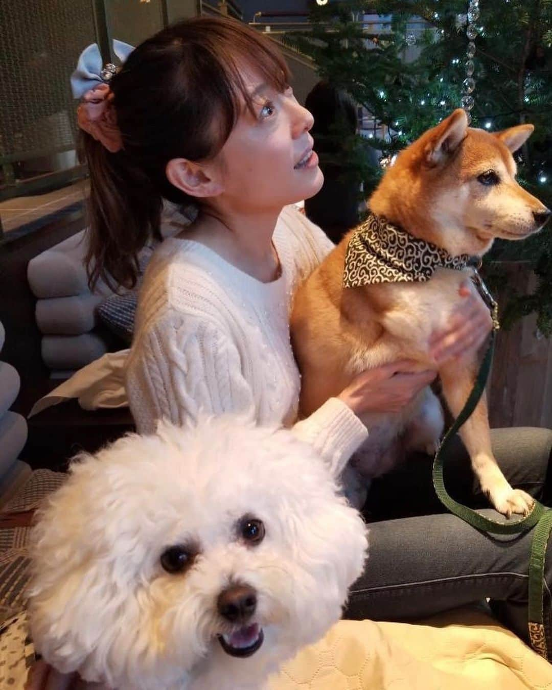 松山まなかのインスタグラム：「犬と私。  #ランナー　#ランニング　#アスリート　#女子アスリート　#熟女アスリート　#筋肉　#runner #running #athlete #marathon #muscle #musclegirl #筋トレ　#フルマラソン　#サブスリー　#サブ3 #筋トレ女子　#筋肉女子　#ランニング女子　#マラソン女子」