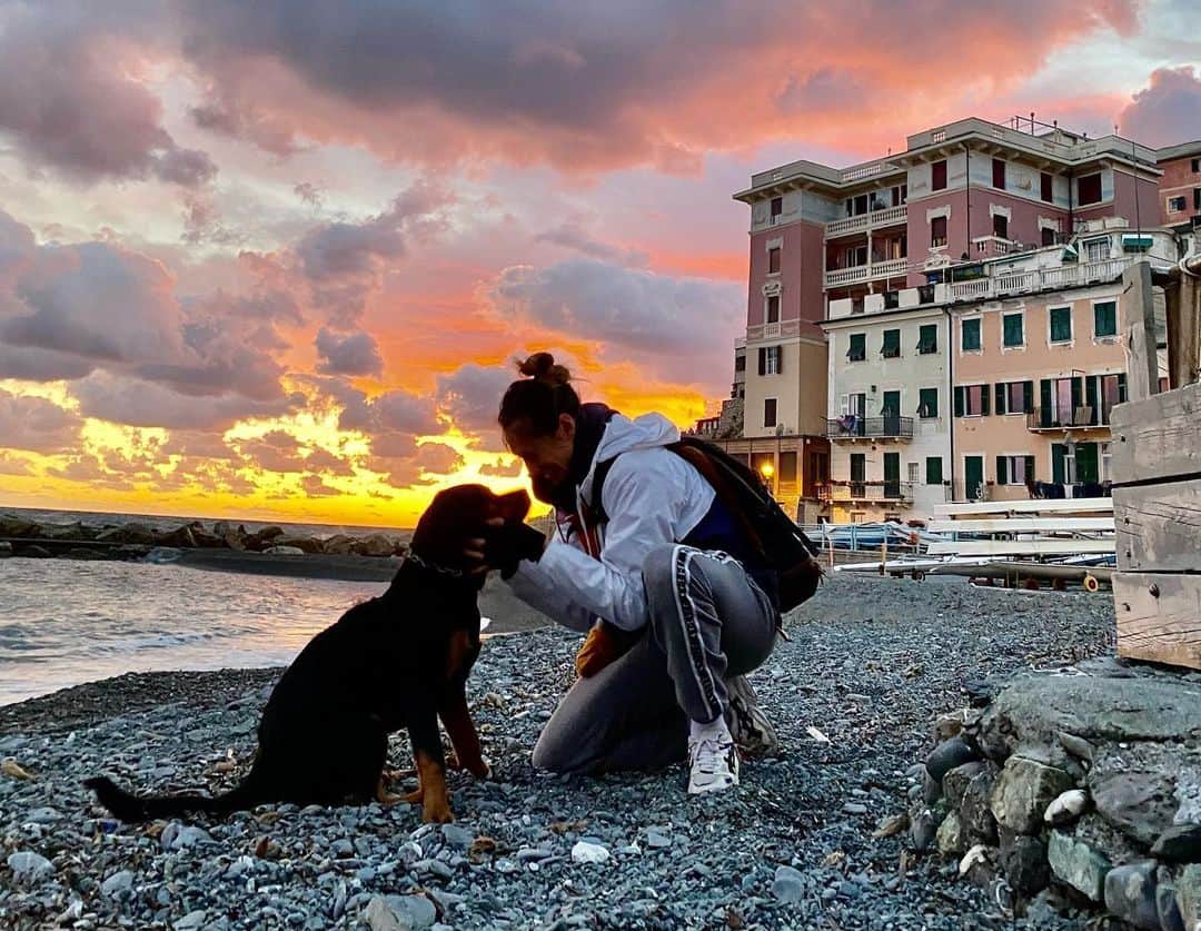 ヴァレンティナ・アリゲッティのインスタグラム：「Growing old……. #7mesi #jorah #sonofigomarestoumile #therainbowflock #marchesatokennel #rottweiler」