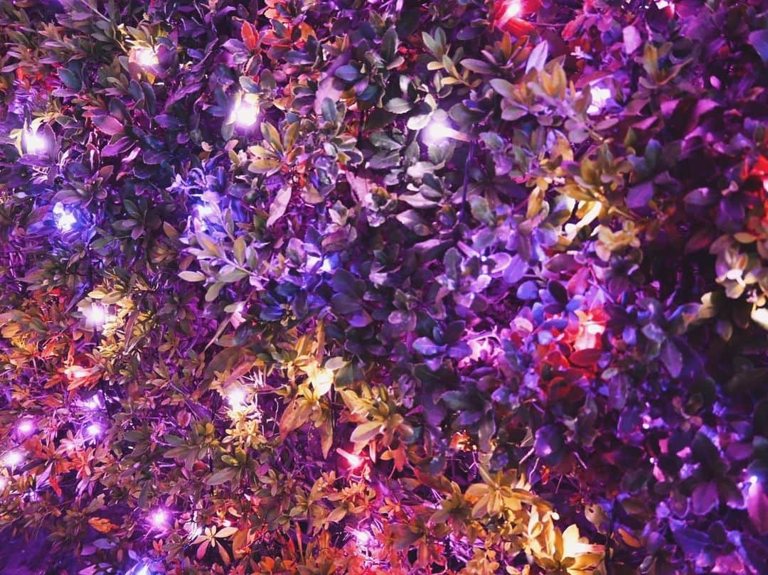 指出毬亜のインスタグラム：「💐と✨」