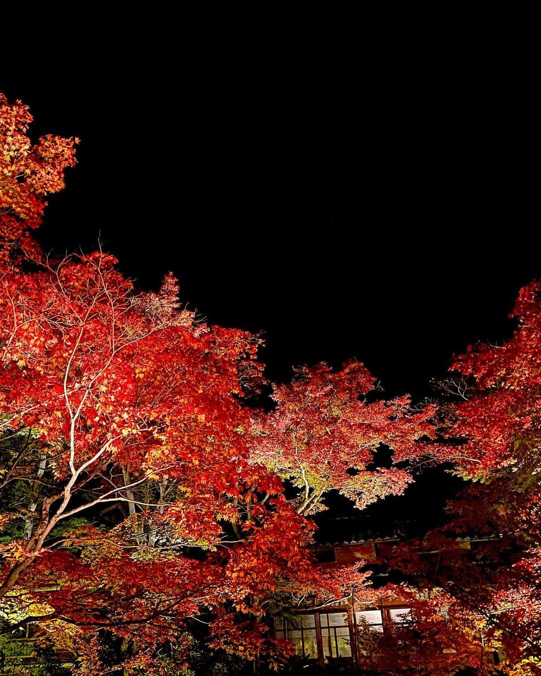 DJ LICCAさんのインスタグラム写真 - (DJ LICCAInstagram)「Hello,December♨️  皆さんBDお祝いDM、コメント、Twitter等にたくさんありがとうございます♡  今月もスタート 素敵な時間を過ごしましょうね◡̈  #京都 #嵐山 #紅葉 #kyoto #japan」12月1日 21時59分 - djlicca