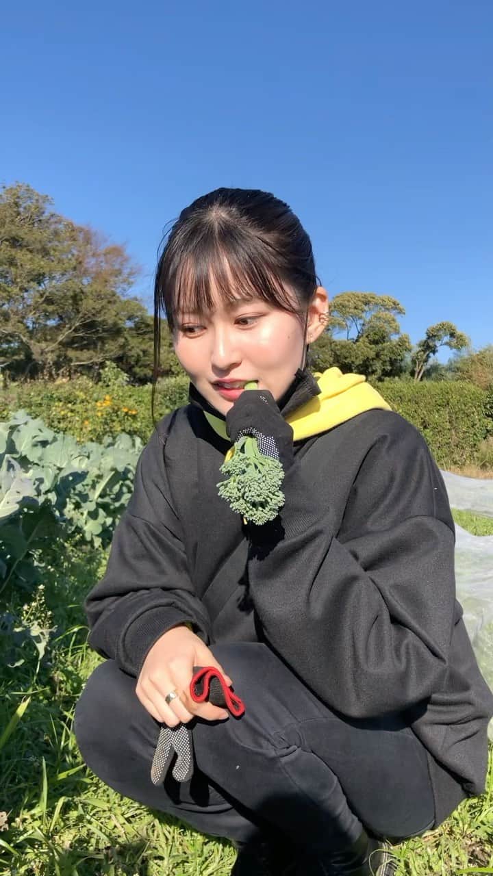 のインスタグラム：「🥦   2021年 ラストひと月もゆるく楽しく‪‪☺︎‬     #リール #11月まとめ #動画 #shishamo  #生きるガール #ししゃも #グラビア #撮影 #無垢な彼女の育て方 #12月23日 #休日 #畑 #ブロッコリー #みりいちコーデ #今月もよろしくお願いします」