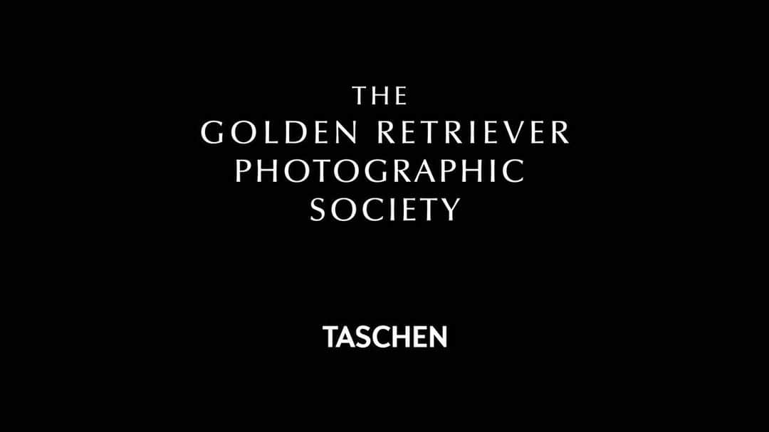 ブルース・ウェーバーのインスタグラム：「I wanted to share a little film we made to celebrate the release of “The Golden Retriever Photographic Society.” Thanks to @janegoodallinst for being part of the book—the conversation about our mutual love of animals is such a special  part of the project. I’m also so grateful to all the cinematographers and editors I’ve worked with over the years—quite a compilation of their work we’ve sampled here.  If you’re in Miami today—Wednesday, 12/1—please join us for our first signing of “The Golden Retriever Photographic Society”   @Taschen  1117 Lincoln Road Miami, FL 33139  5-7 PM.  All dogs are welcome, RSVP is required:  www.taschen.com/rsvp268  #BruceWeber #TheGoldenRetrieverPhotographicSociety #BruceWeberTheGoldenRetrieverPhotographicSociety #GoldenRetriever #dogsofinstagram #TASCHENbooks  “The Golden Retriever Photographic Society“ is now available on taschen.com—link in bio.」