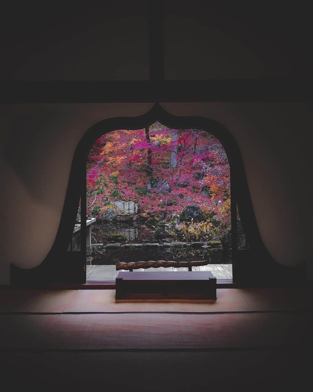 田村幸士さんのインスタグラム写真 - (田村幸士Instagram)「. 南北に長いから同時に複数の季節を楽しめる日本。 その自然が与えてくれるものは心身共にとても多く、トラベル雑誌やネット情報では到底伝えられない魅力が沢山ある。  それを知るためには現地のガイドと共に行くことがおすすめ。そのタイミングでのベストな絶景はもちろん、その自然を通して想像以上のものを気づかせてくれる。  「ガイド」というと、”道を案内する”役割だけのイメージかもしれないけれどそうじゃない。 たくさんの豊かさを案内してくれます。 . . . . . . . . —— ✂︎ —————— #gunmapics #gunma #kawaba #explorejpn  #wu_japan #jp_gallery #lovers_nippon #nihonshooters #aestheticsjapan #japan_vacations #unknownjapan #japanfeatured  #lifeofadventure #wildernessculture #nature_focus_on #hubsplanet #yourshotphotographer #japaneseculture #autumnleaves #autumnmood #japantrip #autumninjapan #autumnphotography #japanesetemple #紅葉スポット #紅葉 #群馬観光 #紅葉狩り #日本の景色 #群馬」12月2日 11時18分 - kojimg