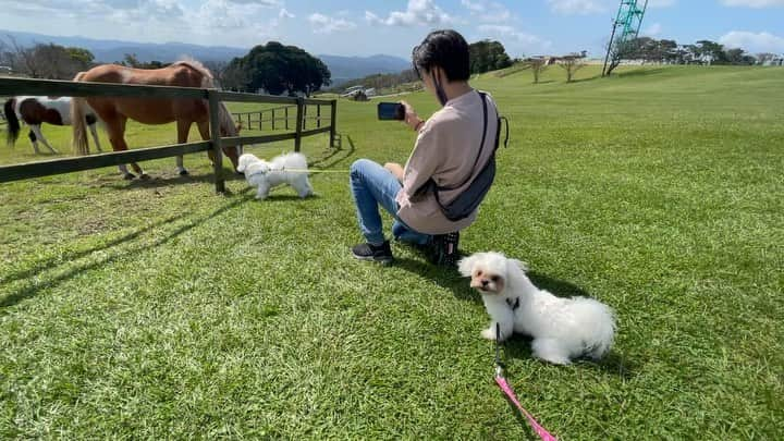 滝沢ななえのインスタグラム