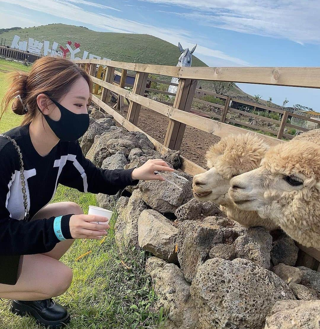 ファン・ボミさんのインスタグラム写真 - (ファン・ボミInstagram)「. 당근 집사22👩🏻‍🌾🥕」11月8日 17時39分 - bominism71