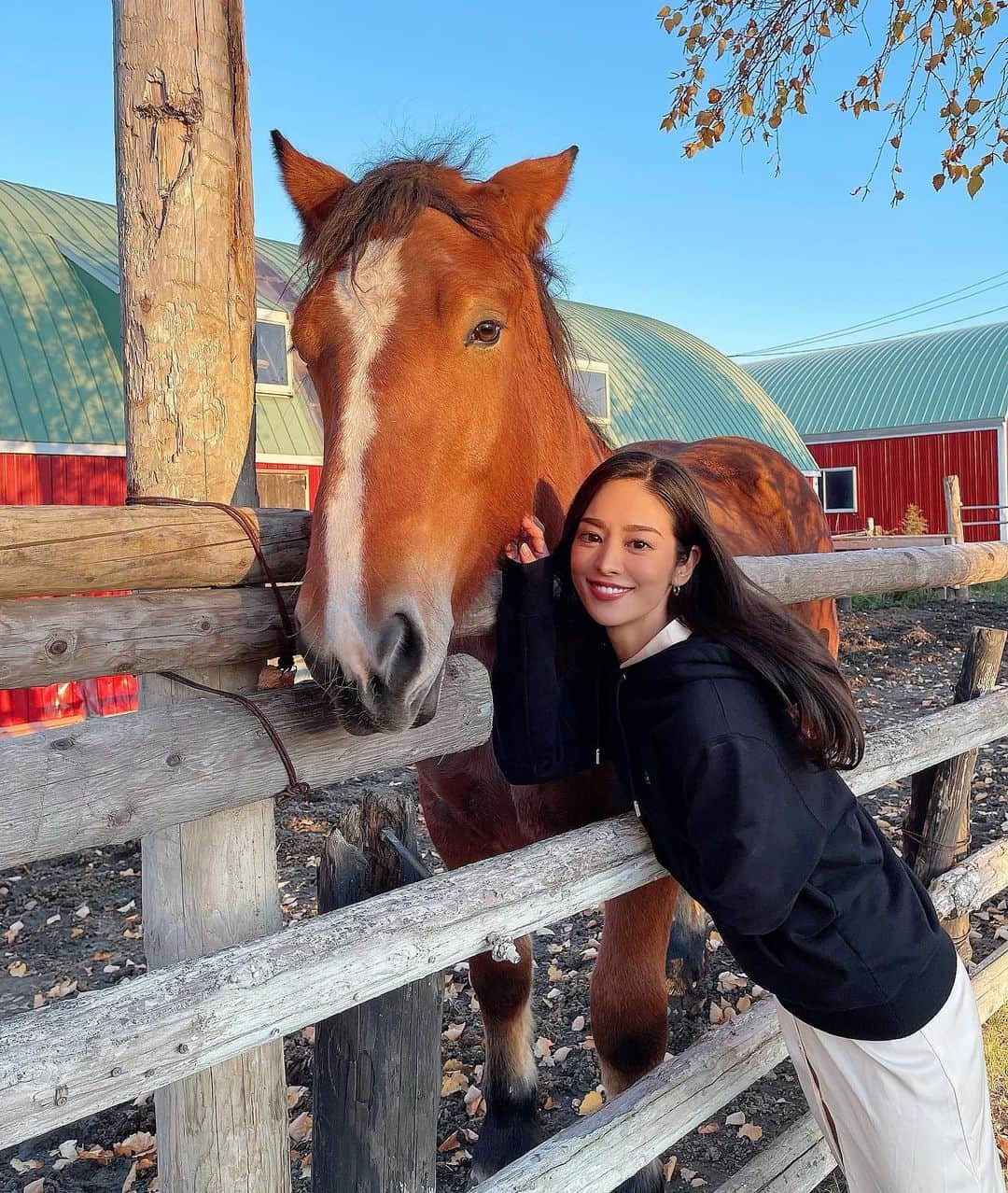 大柳麻友のグルメインスタ