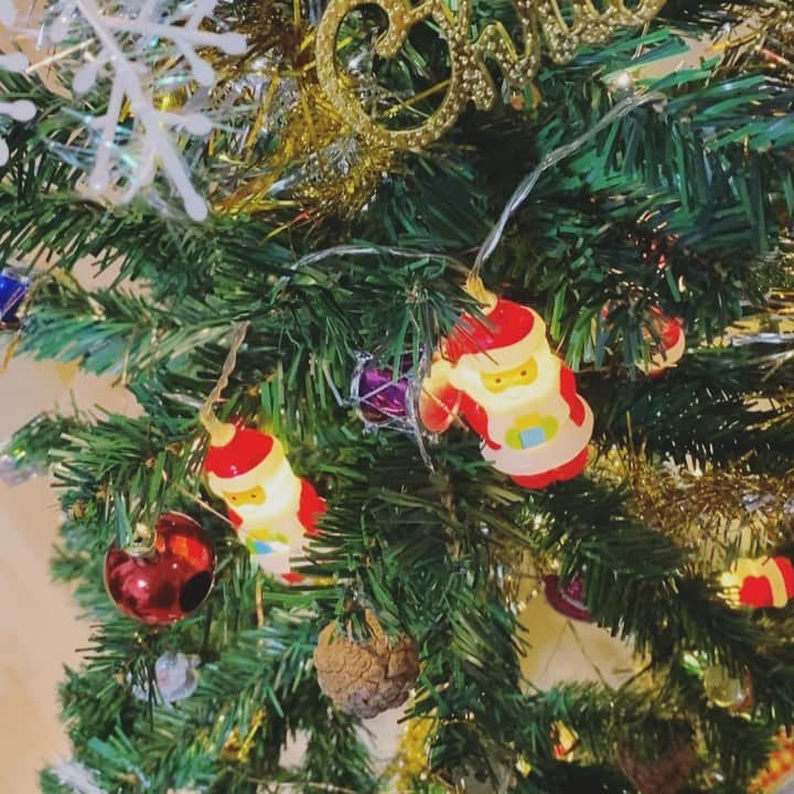 西国原礼子のインスタグラム：「早くも😁🎄✨🎅」