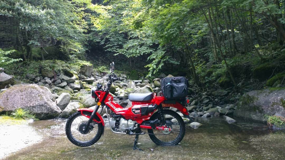 Takahiroさんのインスタグラム写真 - (TakahiroInstagram)「🌲🌲🌲🛵🌲🌲🌲ㅤ ㅤ ㅤ そうだ、旅に出よう─ ㅤ ㅤ 書類、書類、書類、、 zoom廃人になりかけㅤ カブ主になって半年 走行距離10000kmㅤ ㅤㅤ 街乗り、森林、海、古民家いろいろ何処にツーリングでも似合ってしまう愛車最高の相棒です ㅤ ㅤ 時雨ゆくㅤ ㅤ ㅤㅤかたの野原のㅤ紅葉坂 ㅤㅤㅤ ㅤたのむかけなく ㅤ ㅤㅤㅤㅤㅤㅤㅤ吹く嵐哉 🍁 ㅤ ㅤ ㅤㅤ 自然から学ぶモノ多い😊😊ㅤ ㅤ  #株主総会 #カブ主走会 #カブ主総会 #カブ主爽快ㅤ --------------------ㅤ #honda #CT125 #huntercub #ct110 #crosscub #hondact125 #supercub #bikestagram #ct125ハンターカブ #愛車愛 #カブ #ハンターカブ #ホンダ #スーパーカブ #クロスカブ #カブ主と繋がりたい #ハンターカブのある生活 #バイクのある生活」11月8日 19時58分 - takahirokwan