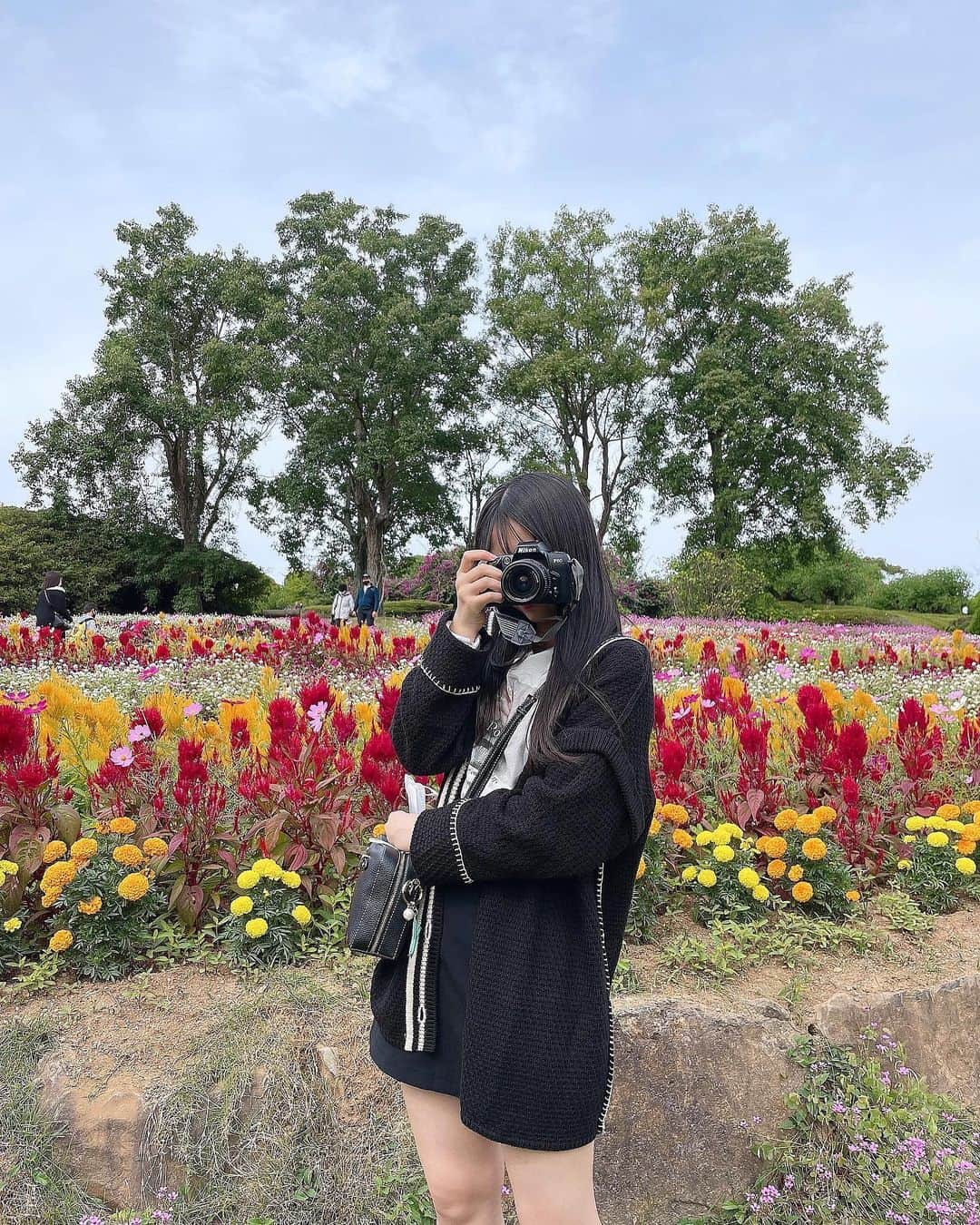 伊藤優絵瑠さんのインスタグラム写真 - (伊藤優絵瑠Instagram)「コスモス綺麗だったー⸜🌷︎⸝‍  #能古島 #能古島アイランドパーク  #福岡 #福岡観光 #fukuoka #コスモス #コスモス畑」11月8日 20時09分 - yueruito_1024