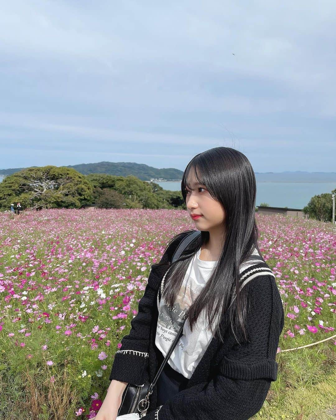 伊藤優絵瑠のインスタグラム：「コスモス綺麗だったー⸜🌷︎⸝‍  #能古島 #能古島アイランドパーク  #福岡 #福岡観光 #fukuoka #コスモス #コスモス畑」