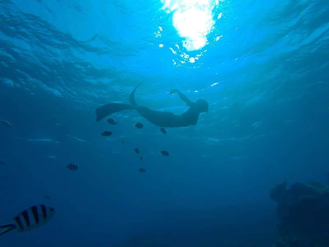 Kumiのインスタグラム：「. 一瞬だけ、 人魚になれました🧜‍♀️✨ . . 舞台装置と照明がなくても どこでもステージは作れる。 . . ナガンヌ島は今回で２回目でしたが 本当に毎回海の綺麗さと 魚たちの美しさに感動します✨ . . . #ナガンヌ島　#シュノーケリング #素潜り　#人魚　#人魚姫　#沖縄　#海水浴　#南国　#マーメイド　#スキンダイビング」