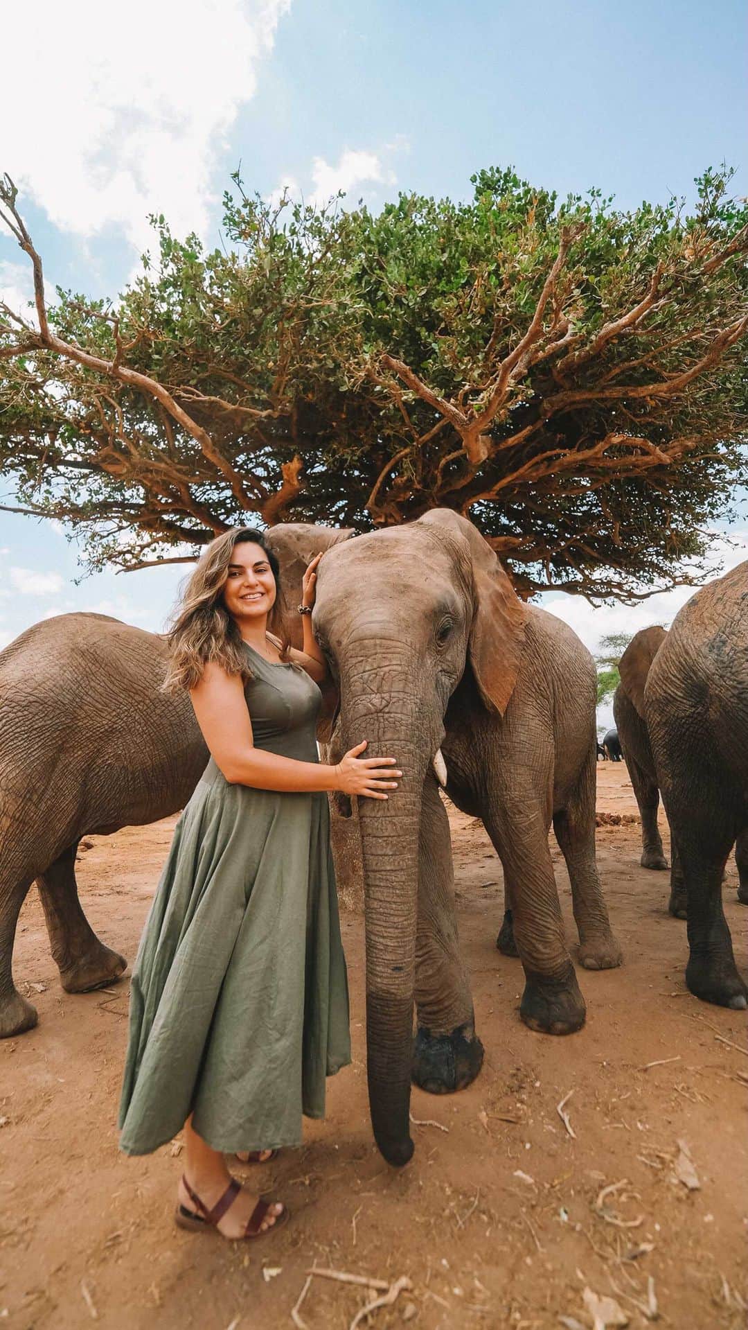 ルイス・コールのインスタグラム：「Elephants have always been my favorite animals. When you look into their eyes, there’s so much depth and wisdom there. So, when @planetoat invited me to go to Kenya and visit the baby elephants at @sheldricktrust it took me .2 seconds to reply ‘YES!!’  This week has been one of the highlights of my life. To truly see, firsthand, the incredible impact that @sheldricktrust are having on the baby orphaned elephants in their care and to even meet a second-generation 4-day old baby of one of the former orphans, I’ll never forget it!  Make sure to go to sheldrickwildlifetrust.org to donate and learn how you can get involved. And huge thank you to @planetoat for creating the #PlanetOatProject, a program that is bringing awareness and supporting non-profit environmental organizations that are bettering the world. I have seen first-hand how their donation has made a difference for these elephants. It makes my morning oat milk smoothie taste that much sweeter ☺️❤️🐘 #ad」