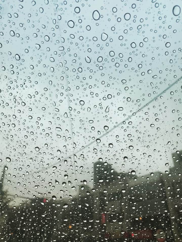 花盛友里のインスタグラム：「Nothing special but yet beautiful.」