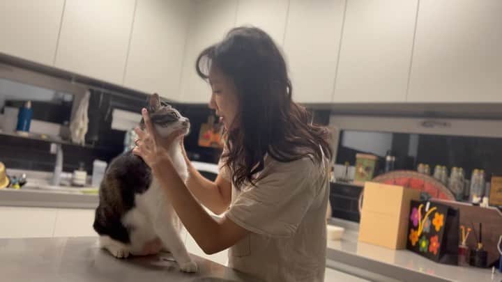 シン・ソユルのインスタグラム：「순둥이. 나한테 와줘서 진짜 너무 고마워🐾」