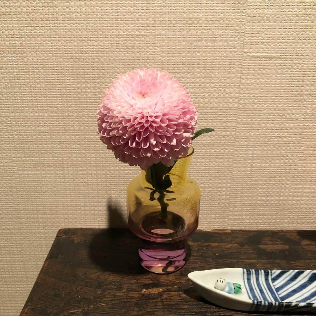 千秋さんのインスタグラム写真 - (千秋Instagram)「お友達がお家に来てお花をくれた🌸 花瓶ごと！ 大切なことを覚えていてくれて嬉しかった。  雨の火曜日。 みんな何してる？☔️ わたしは夕方からの仕事まで、10数年ぶり2回目のSATCシーズン4を見直し中。 更に大人になってから観ると違う面白さがあるよ💕  #千秋インテリア」11月9日 12時11分 - chiaki77777