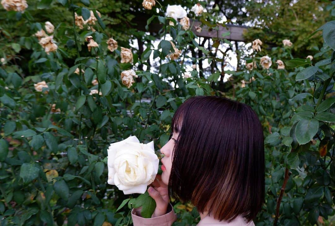 一ノ瀬陽鞠（ひまりん）さんのインスタグラム写真 - (一ノ瀬陽鞠（ひまりん）Instagram)「🥀☁️」11月9日 16時40分 - lespros_himari