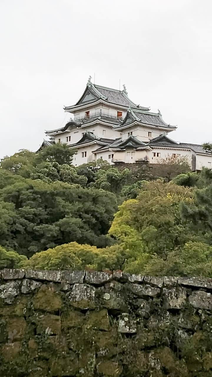 のインスタグラム：「#和歌山城 #天守閣 🏯🍁 仕事の合間にちょっとぶらり散歩。  紅葉してきてる〜 もう少し天気良かったらなぁ〜 なんて思いながら歩いていたけど・・・  目的地とは真逆に歩いていることに、 この時はまだ気づいていない。」
