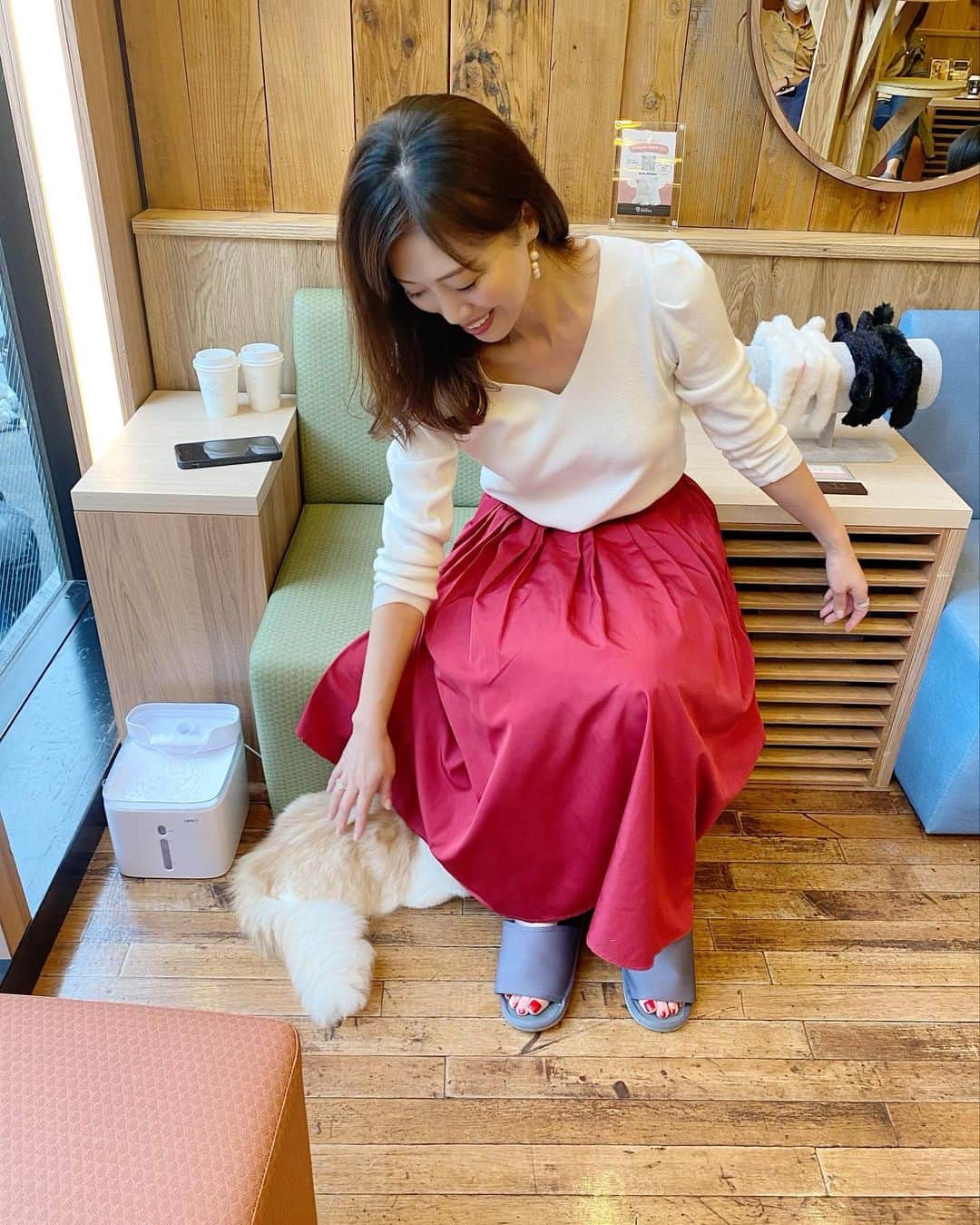 ImotoEtsuyo さんのインスタグラム写真 - (ImotoEtsuyo Instagram)「#猫カフェ  ・ 少し前ですが　 ネコカフェに行きました。 ・ ワンちゃんを飼っていますが、 ネコちゃんもカワイイなぁと 思いました♡  ・ 暗くて狭い所に行く習性があるのですね。  #猫  #ネコカフェ  #猫カフェ  #秋葉原カフェ  #癒し  #cat  #cats  #秋葉原 #猫カフェmocha  #cafe #cafemocha」11月9日 19時15分 - bisuhada