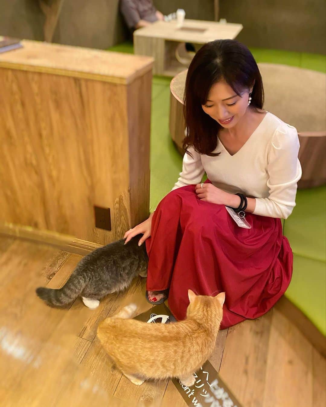 ImotoEtsuyo さんのインスタグラム写真 - (ImotoEtsuyo Instagram)「#猫カフェ  ・ 少し前ですが　 ネコカフェに行きました。 ・ ワンちゃんを飼っていますが、 ネコちゃんもカワイイなぁと 思いました♡  ・ 暗くて狭い所に行く習性があるのですね。  #猫  #ネコカフェ  #猫カフェ  #秋葉原カフェ  #癒し  #cat  #cats  #秋葉原 #猫カフェmocha  #cafe #cafemocha」11月9日 19時15分 - bisuhada