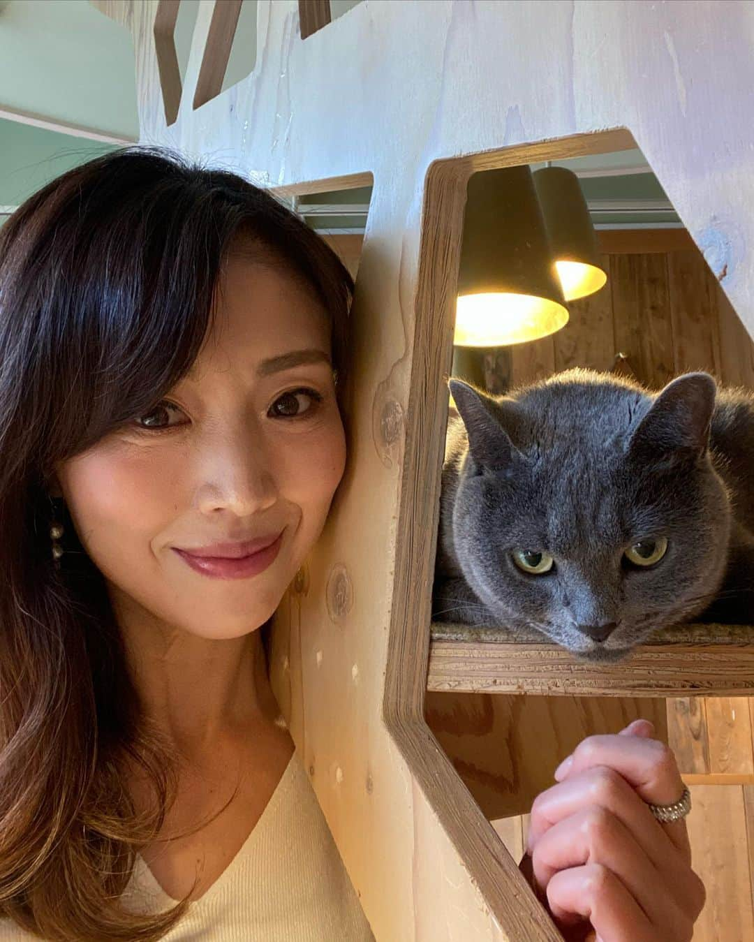 ImotoEtsuyo さんのインスタグラム写真 - (ImotoEtsuyo Instagram)「#猫カフェ  ・ 少し前ですが　 ネコカフェに行きました。 ・ ワンちゃんを飼っていますが、 ネコちゃんもカワイイなぁと 思いました♡  ・ 暗くて狭い所に行く習性があるのですね。  #猫  #ネコカフェ  #猫カフェ  #秋葉原カフェ  #癒し  #cat  #cats  #秋葉原 #猫カフェmocha  #cafe #cafemocha」11月9日 19時15分 - bisuhada