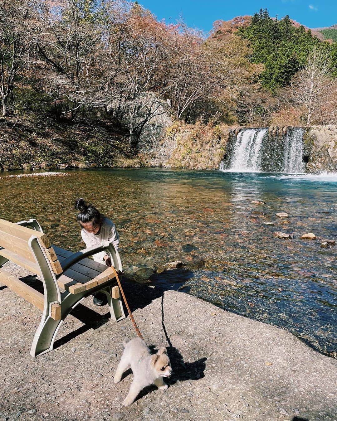 原田沙奈子さんのインスタグラム写真 - (原田沙奈子Instagram)「初めてのキャンプに選んだ場所は大好きな那須。  「龍の国」 @ryu_no_kuni ってキャンプ場、 山の中に美しい川もあって紅葉が綺麗で素敵な場所だった。 （ど素人の私たちにはスタッフの方の優しさが沁みた）  あっくんがササーッと決めてくれたんだけど、ここにしてホント良かった！  キャンプ場を散歩したり、近くの温泉に行ったり。 思う存分、自然を愉しめた。  夏は川遊びや乗馬や釣りもできるみたいだから、夏に来るのもいいな。  今回は天気も良く日中はロンTくらいで過ごせたし、 タイミングよく色付いた山の景色見られてラッキーだったな🍁  #初めてのキャンプ#キャンプ#龍の国オートキャンプ場」11月9日 19時29分 - sanakoharada