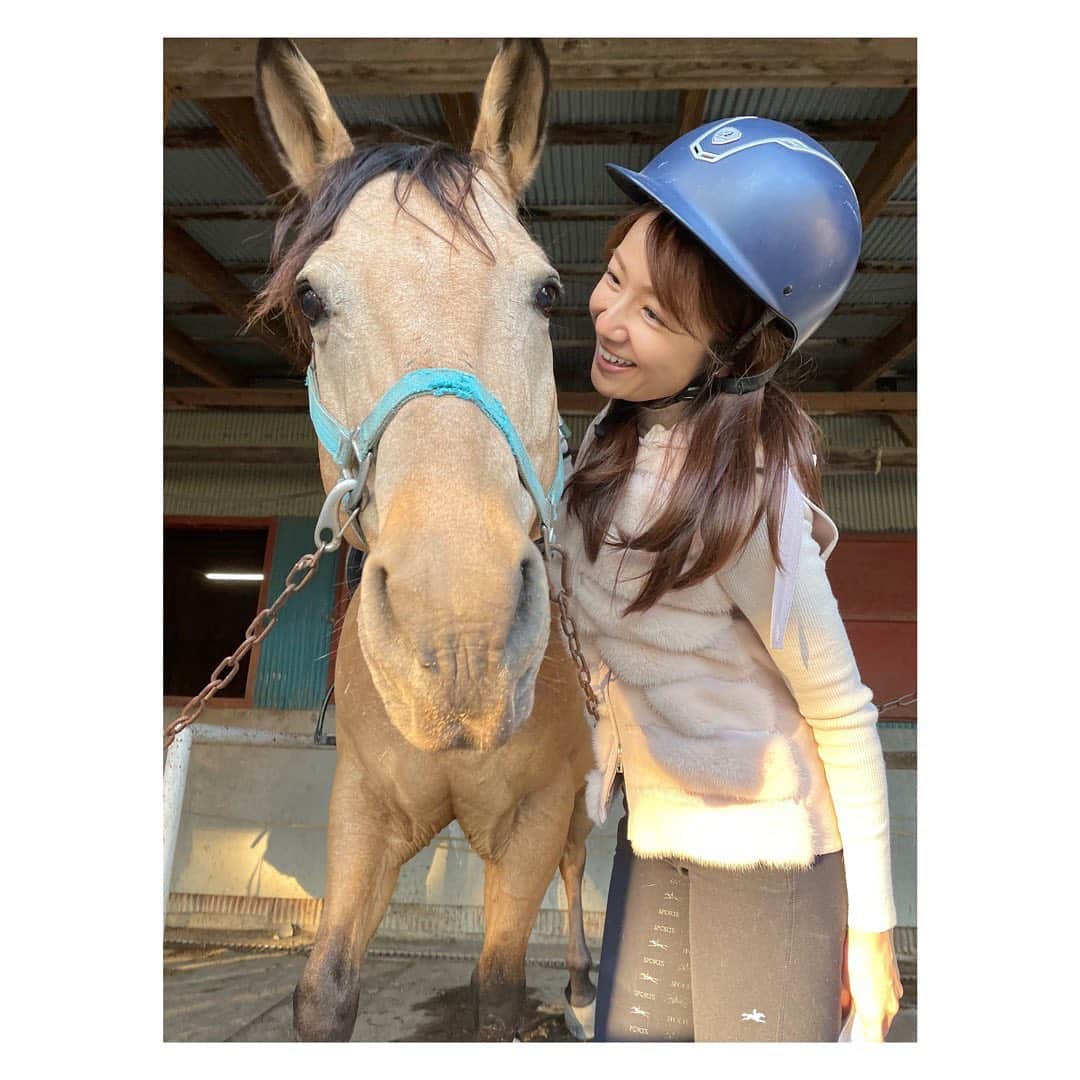 長野美郷さんのインスタグラム写真 - (長野美郷Instagram)「乗馬行ってきました！🐴  可愛すぎて…🥺  私は本当にずっと🐴に話しかけてるんですね。 うるさいかしら😅とか思いつつ なんだか通じてるような気がしてくるものだから、 嬉しくてもっともっと話しかける😂 なのでずーっと喋ってます🤭  #乗馬　#乗馬女子 #かわいいね〜とかは多分300回くらい 言ってます😂 #喋りすぎ 🤭」11月9日 19時38分 - misato_nagano_1127