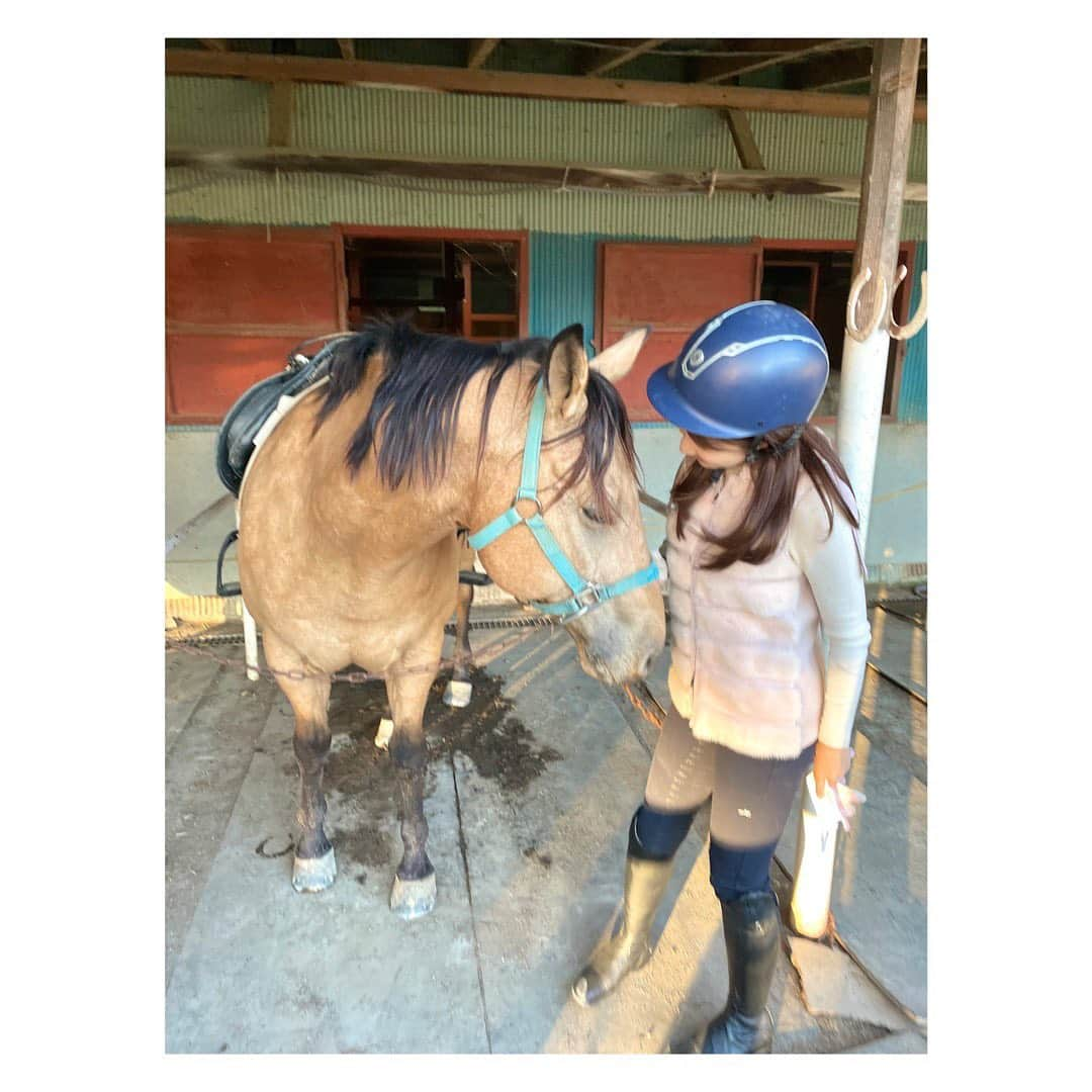 長野美郷さんのインスタグラム写真 - (長野美郷Instagram)「乗馬行ってきました！🐴  可愛すぎて…🥺  私は本当にずっと🐴に話しかけてるんですね。 うるさいかしら😅とか思いつつ なんだか通じてるような気がしてくるものだから、 嬉しくてもっともっと話しかける😂 なのでずーっと喋ってます🤭  #乗馬　#乗馬女子 #かわいいね〜とかは多分300回くらい 言ってます😂 #喋りすぎ 🤭」11月9日 19時38分 - misato_nagano_1127