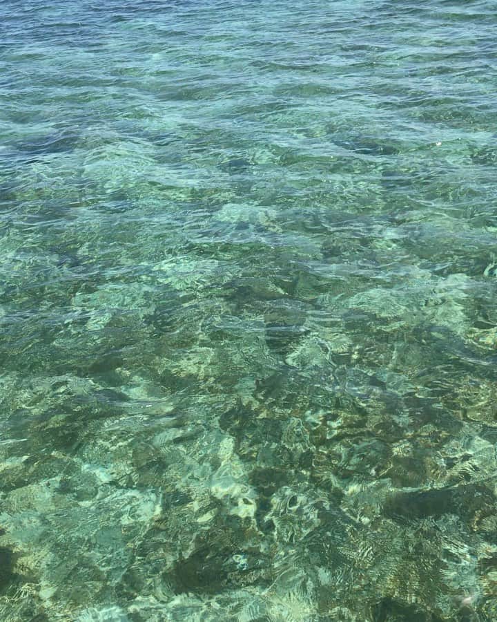 片山萌美のインスタグラム：「🐢  #定期的nature #沖縄 #japan #okinawa   自然に癒されたい〜」