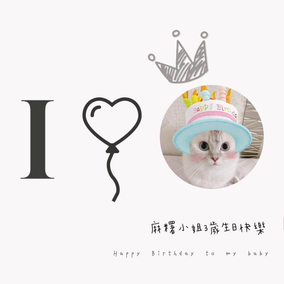 藤井麻由のインスタグラム：「今天是麻糬小姐的生日🎂💗 最可愛的麻糬，3歲生日大快樂🥰 今日はおもちさんのお誕生日です♪3歳になりました☺️おめでとう💗 . #AKB48TeamTP #TTP #cat #catsofinstagram #happybirthday #birthday #麻糬小姐 #貓咪 #貓貓日常 #生日快樂 #我的寶物 #媽媽愛你❤️ #おもち #お誕生日 #ねこ #ねこすたぐらむ #🍑」