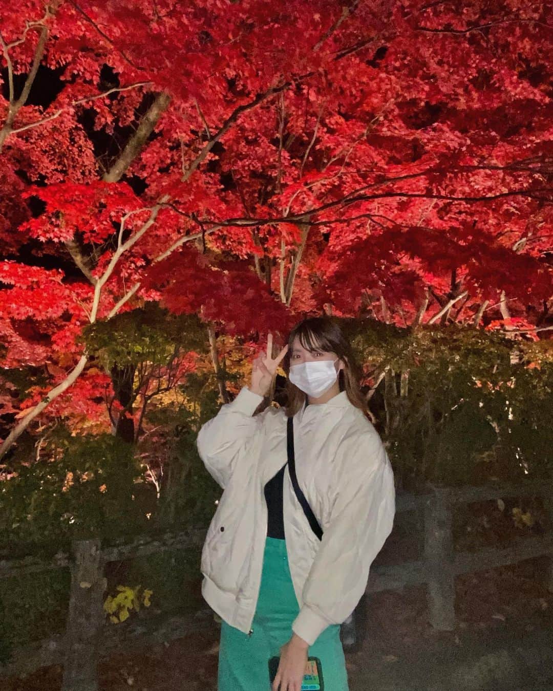 彩香のインスタグラム：「＊ 🍁🍂🍁🍂 ＊ ＊ ＊ #菊と紅葉まつり #弘前公園 #紅葉 #ライトアップ」