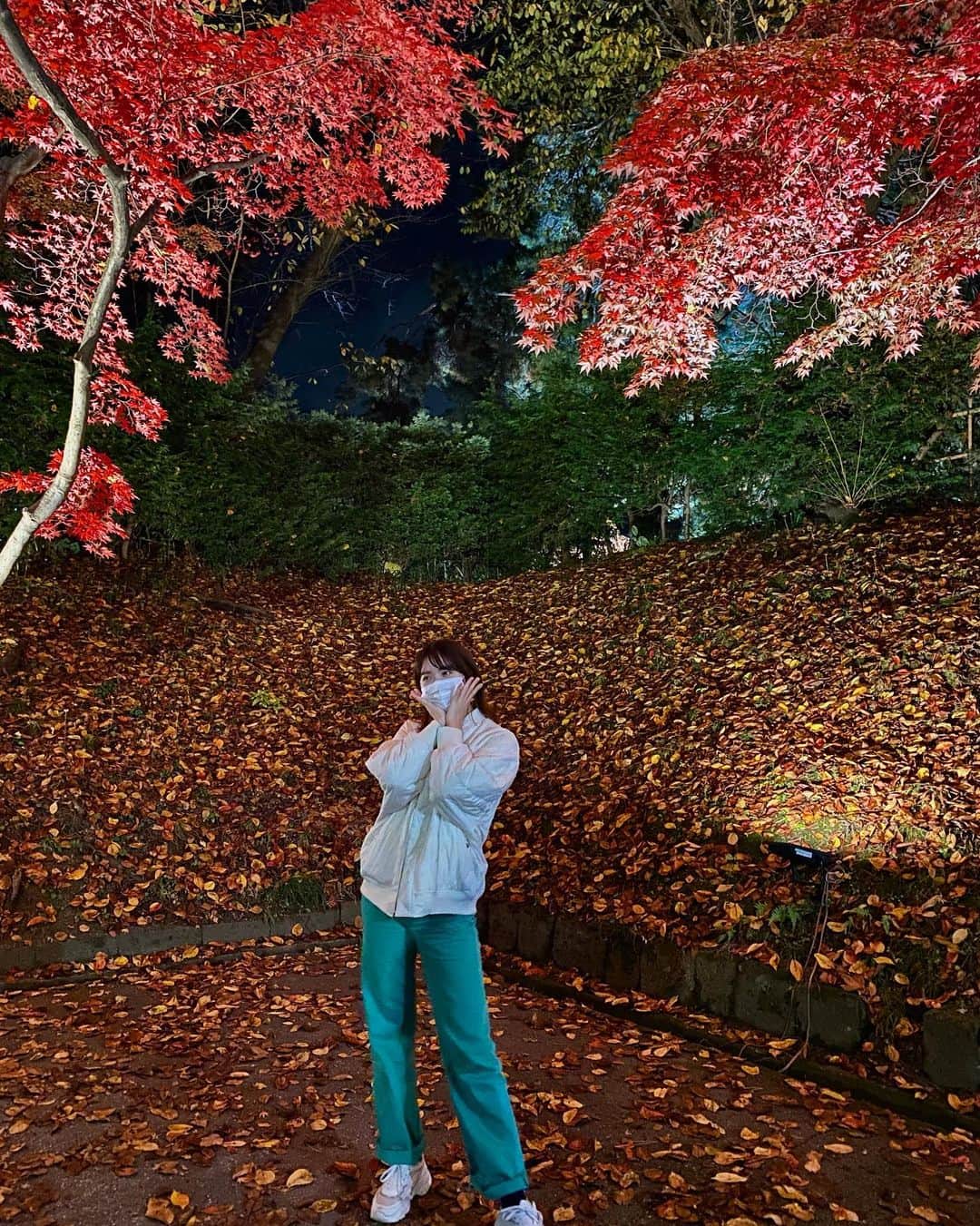 彩香さんのインスタグラム写真 - (彩香Instagram)「＊ 🍁🍂🍁🍂 ＊ ＊ ＊ #菊と紅葉まつり #弘前公園 #紅葉 #ライトアップ」11月9日 20時45分 - saika_ringomusume
