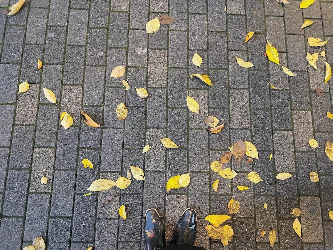 梅澤美波さんのインスタグラム写真 - (梅澤美波Instagram)「_  すっかり冬に近づいてきたね〜。🍂」11月9日 21時00分 - ume_minami.official