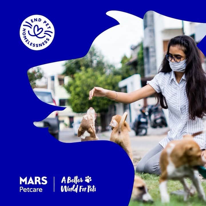 Marsのインスタグラム：「In the world we want tomorrow, no pets are homeless. That’s why we’ve partnered with 8 leading animal welfare experts and organizations to develop the first-ever State of Pet Homelessness Index. With data from 200+ global sources, the Index is helping us better understand the scale and drivers of pet homelessness so that we can build a future where every pet is Wanted, Cared for, and Welcome. Learn more at the link in our bio. #EndPetHomelessness」