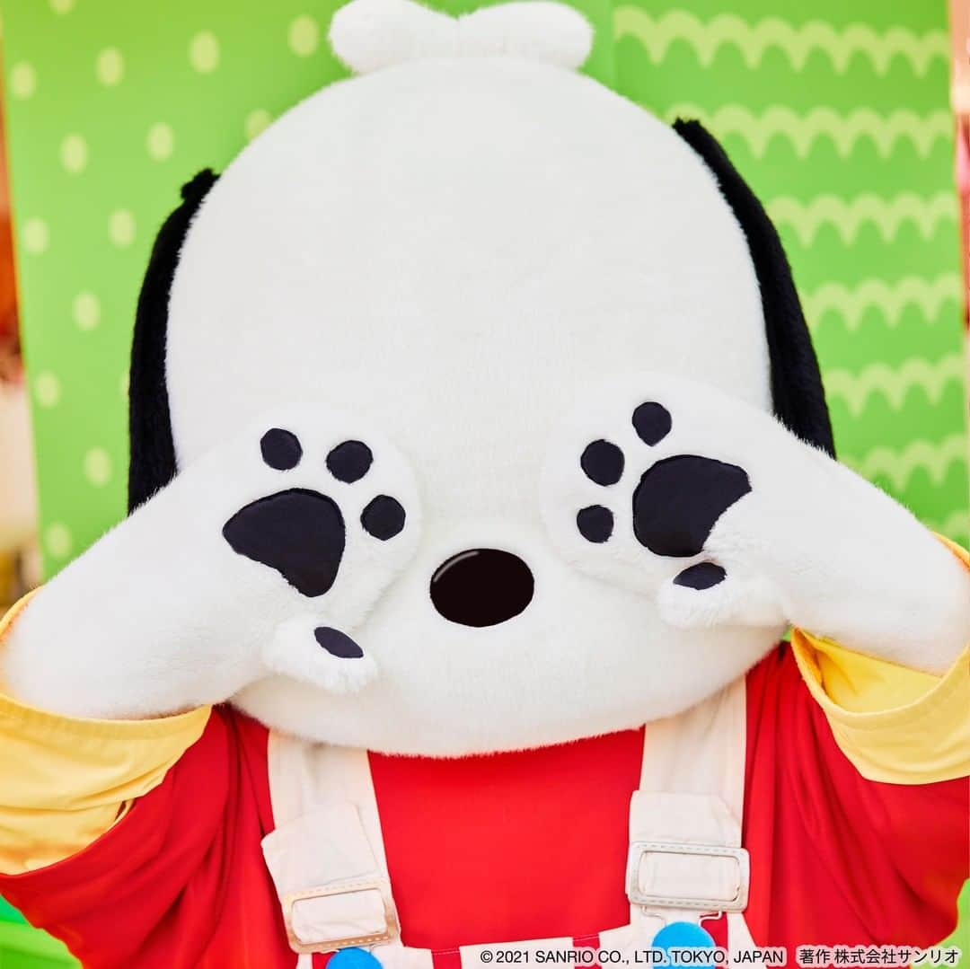 Sanrio Purolandさんのインスタグラム写真 - (Sanrio PurolandInstagram)「୨୧ 今日は #いい手の日 なので、ポチャッコに可愛い手をアピールしてもらいました❣️ - キャラクターたちの手はとってもかわいい✨ みなさんもピューロランドでキャラクターを見かけた際は、注目してみてくださいね💞 - #サンリオピューロランド #sanriopuroland #ピューロランド #ピューロジェニック #ピューロ #サンリオ #テーマパーク #サンリオ好き #推し事 #推しのいる生活 #可愛いものが好き #ピューロ写真部 #ゆめかわいい #KAWAII #ポチャッコ #ポチャ #手洗い」11月10日 10時00分 - purolandjp