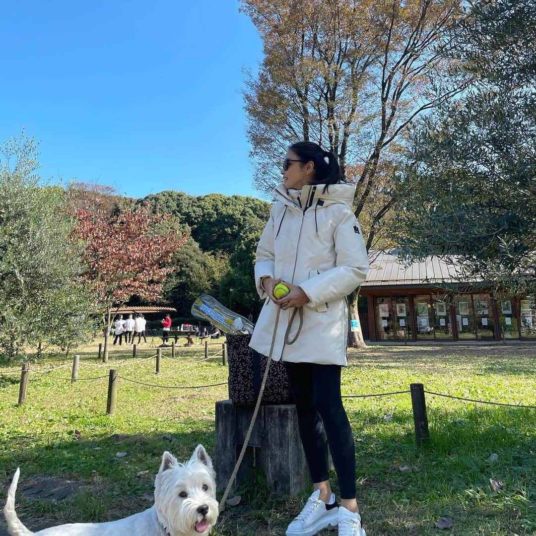 滝沢眞規子さんのインスタグラム写真 - (滝沢眞規子Instagram)「先日の公園。 久しぶりのバドミントンがとても楽しかった☺️ ダウン　@mackage  今月号のNAVYでも紹介してます💙 冬のアウトドアでもしっかりあたたかい❄️ 4枚目、うーちゃんも沢山遊んで笑ってる☺️🐶☺️ #mackage  #マッカージュ  #ダウン」11月10日 6時43分 - makikotakizawa