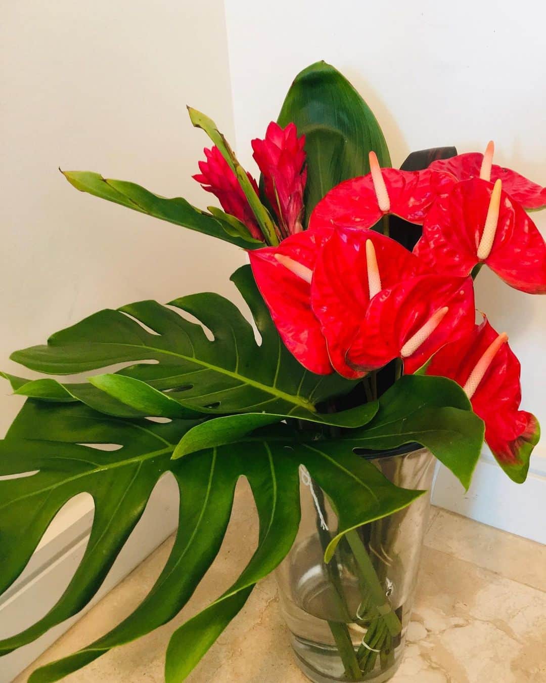 伊東美咲さんのインスタグラム写真 - (伊東美咲Instagram)「ホリデーシーズンに向けて暫くは赤×緑のトロピカルな花とリーフを飾りクリスマスカラーで家の中が華やぎます。オーガニックファームで育った植物は生命力が漲りますね。そして今夜も美しい夕焼けでした。 #Hawaii #ハワイの夕焼け #一日の終わり #サンセット #モンスターリーフ #トロピカルモンスター #ジンジャー」11月10日 19時46分 - misaki_ito_official