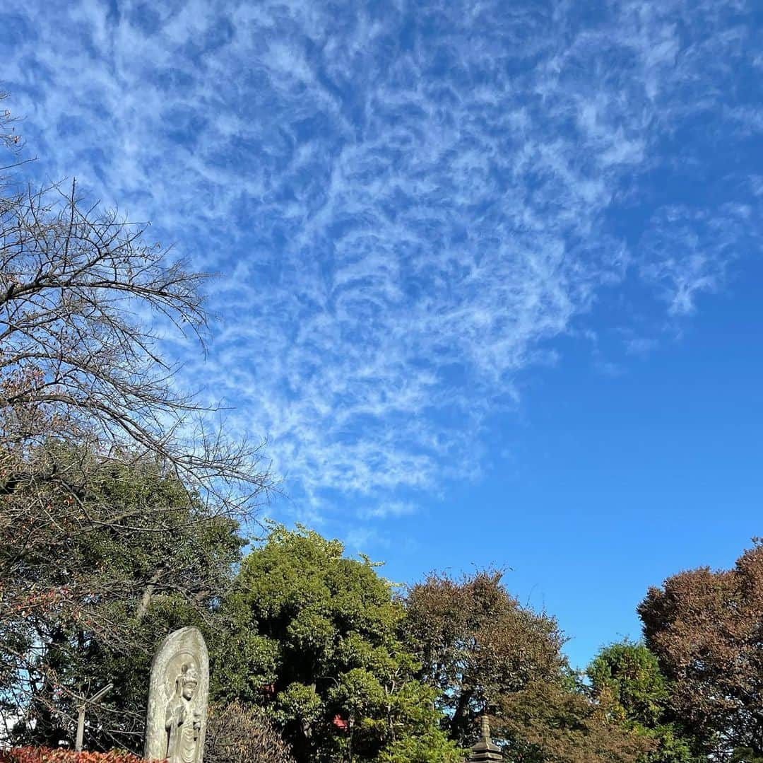 さだまさしさんのインスタグラム写真 - (さだまさしInstagram)「百観音明治寺 小春日和のお詣りでした🙏 空が綺麗でした。 . #百観音明治寺  #草野榮雅  #さだまさし #sadamasashi」11月10日 13時39分 - sada_masashi