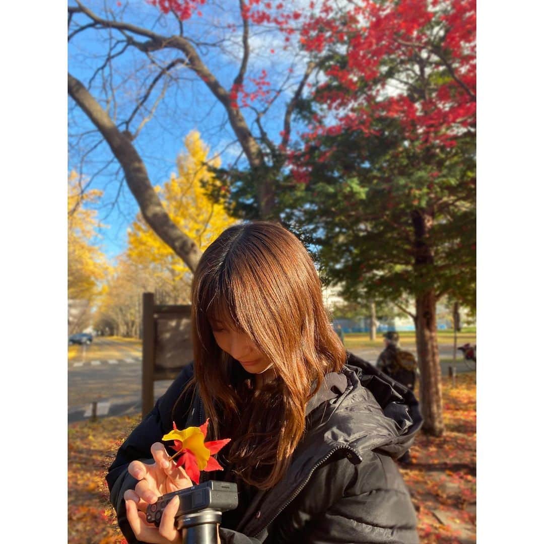 石川翔鈴さんのインスタグラム写真 - (石川翔鈴Instagram)「. 黄色と赤で綺麗だった♡🍂🍁 友達が落ち葉綺麗なの選んでくれた」11月10日 20時54分 - karen__i328