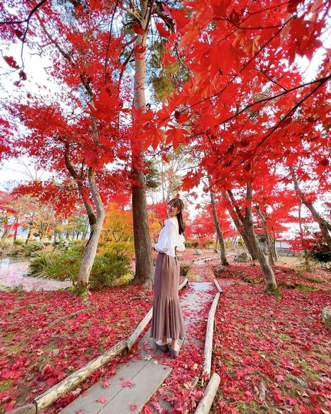 相場詩織さんのインスタグラム写真 - (相場詩織Instagram)「【秋田県大仙市 旧池田氏庭園払田分家庭園】 ⁡ JR大曲駅より車で15分 バスの場合は千屋線「埋蔵文化財センター」 で下車して徒歩5分のところにあります 東北三大地主と称された池田氏の分家庭園✨ ⁡ 払田柵跡の西側・真山地区の一角に位置し 常時無料で公開されています☺️ ⁡ 旧池田氏庭園とはまた違った雰囲気で 真っ赤な紅葉の美しさを楽しむことが出来ます🍁 ⁡ 秋田の秋は儚く短いからこそ尊くて この一瞬一瞬をしっかり自分の目で 見ておきたいなと思います😌 ⁡ 今年紅葉のライトアップも観に行けるといいな✨ ⁡ ヘアメイク→ @ay.3869 さん ⁡ #東北 #秋田 #秋田観光 #秋田紅葉 #名所 #絶景 #アナウンサー #アナウンサー衣装 #herlipto #マーメイドスカート #ココディール #高身長 #骨格ウェーブ #高身長コーデ #パーソナルカラー #サマー #ライトサマー #ハーフアップ #ハーフアップアレンジ」11月10日 21時49分 - shioriaiba0801