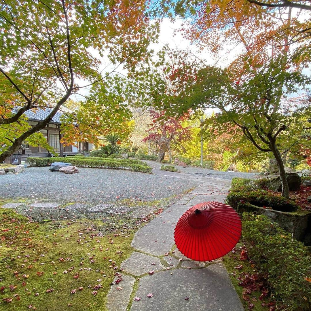 Atsukoのインスタグラム：「・ Early autumn  早秋 ・ ・ 暦はすでに冬に入っていますが、今年の京都の紅葉は駆け抜けるように早く過ぎていきそうです🍁 ・ 和傘撮影はiPhona11に切り替えます。 三脚買わないと…。 ・ ・ #kyoto #japan #wagasa #京都 #日本 #和傘」