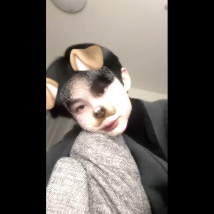 鈴木志音のインスタグラム：「もうすぐ冬の季節⛄️❄️✨ . . . . #おんおん日記」